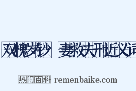 双槐岁钞·妻救夫刑近义词是什么意思的图片